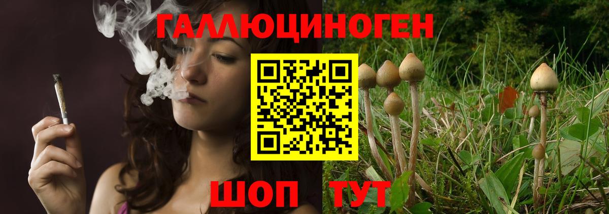 Галлюциногенные грибы мухоморы  Галлюциногенные грибы Cubensis  Сургут  Вход с VPN 